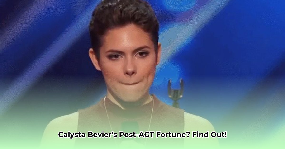 caly-bevier-net-worth